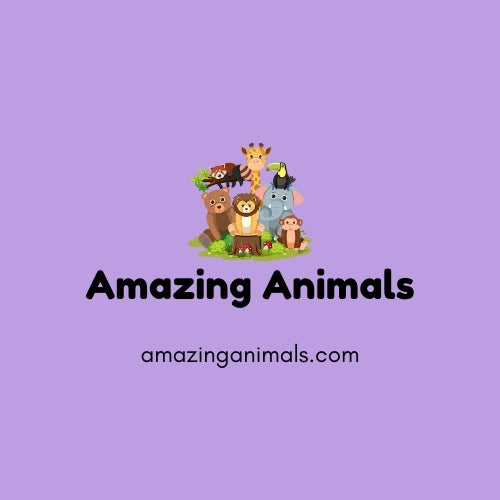 amazinganimals.com