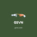 gsvn.com