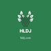 hldj.com